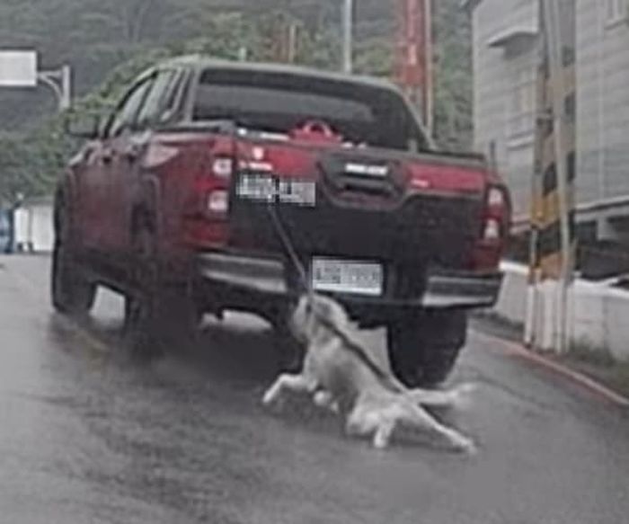 애니멀플래닛