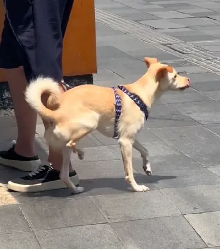 애니멀플래닛