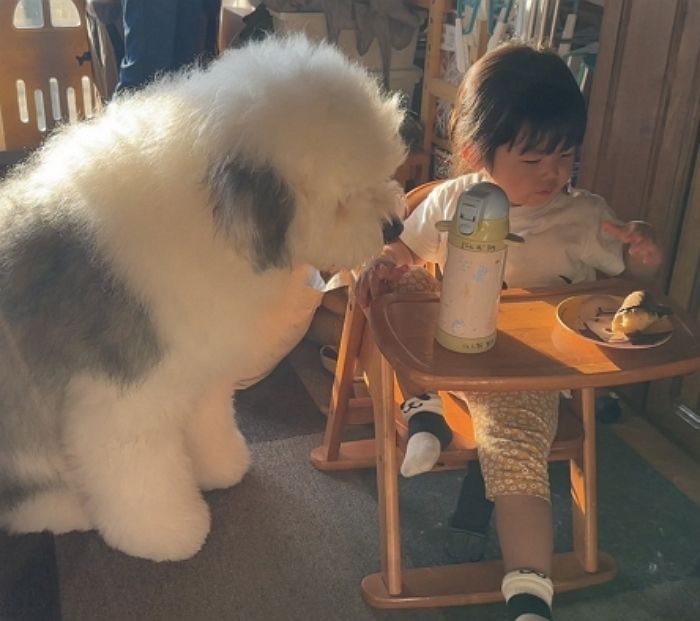 애니멀플래닛
