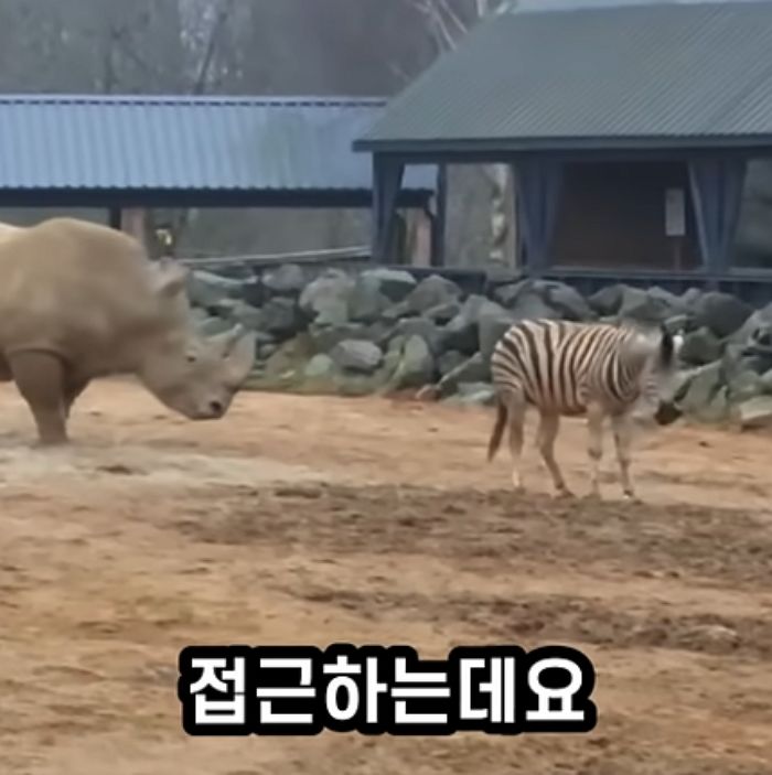 애니멀플래닛