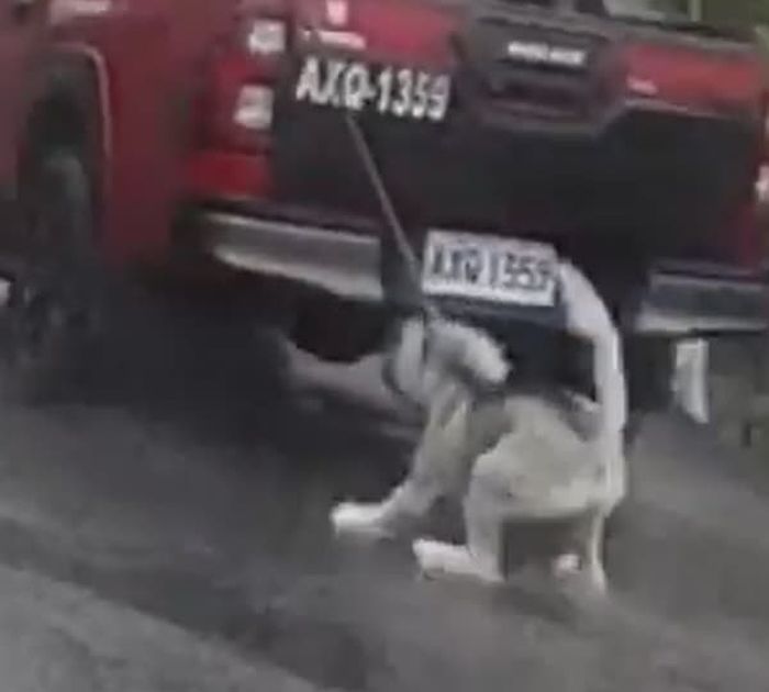 애니멀플래닛