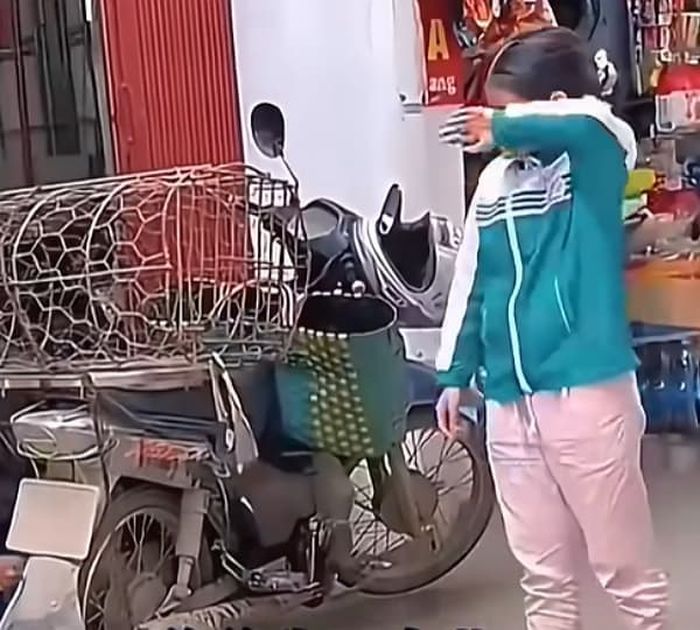 애니멀플래닛