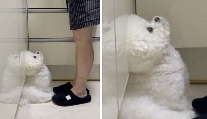 애니멀플래닛