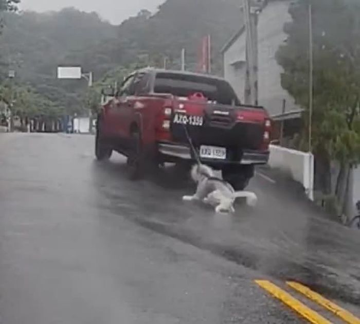 애니멀플래닛