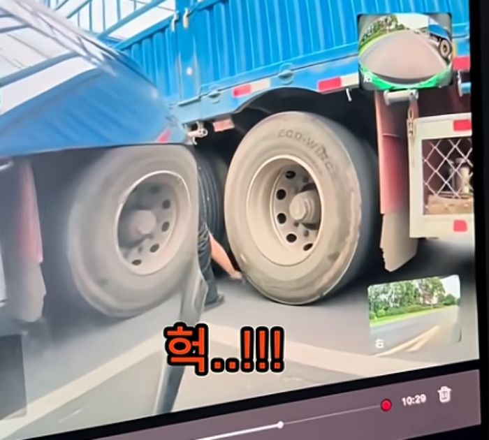 애니멀플래닛