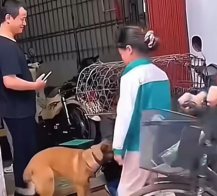 애니멀플래닛