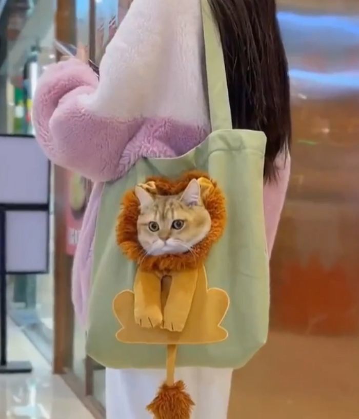 애니멀플래닛