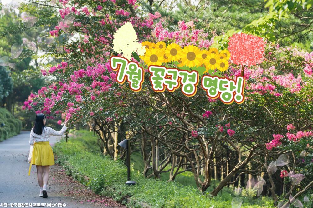 7월 꽃구경 명소 / ⓒ인포매틱스뷰