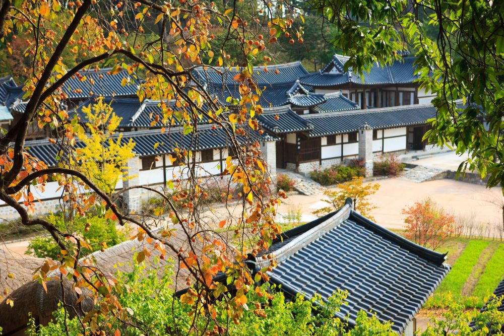 선교장 / 사진=한국관광공사 포토코리아@마이픽쳐스