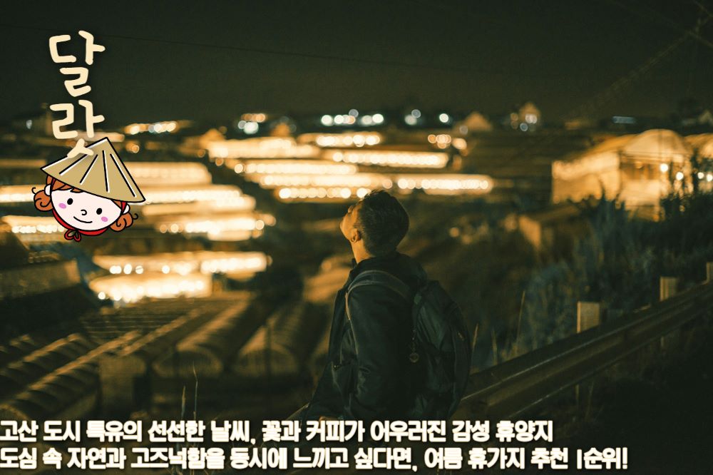 달랏 / 사진=unplash@Minh Tran