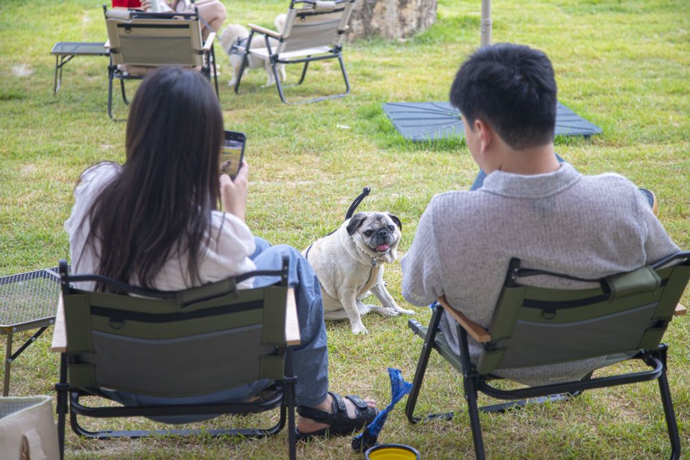 남양주 더드림핑 / 사진=경기관광