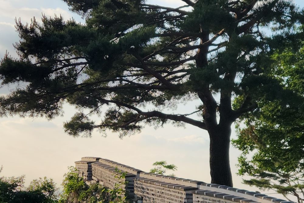 남한산성 / 직접촬영