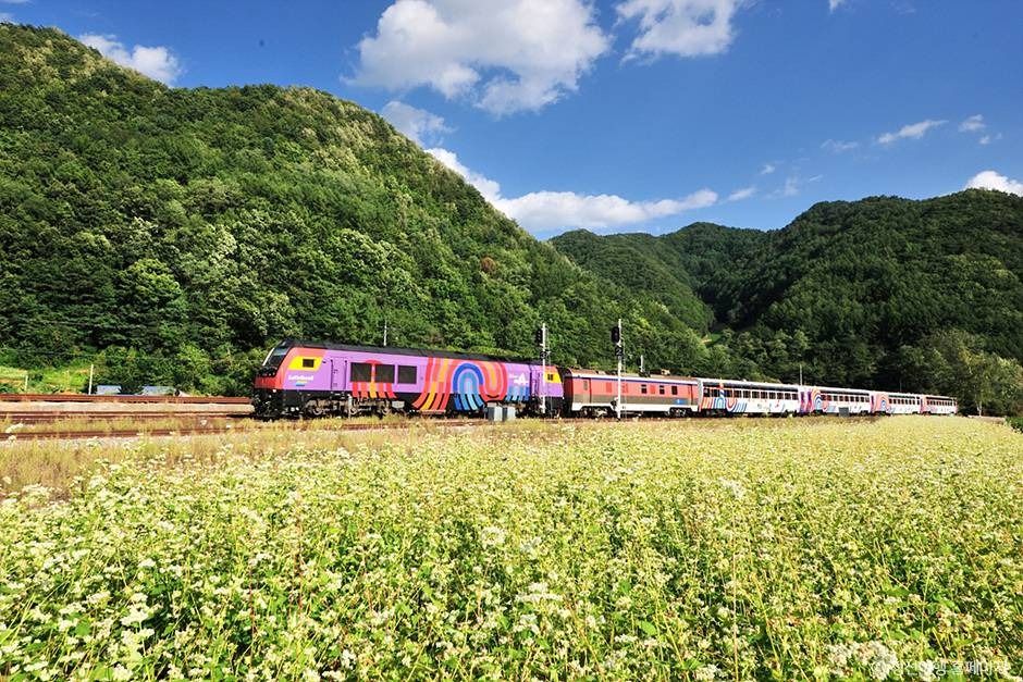 정선아리랑열차(A-train) / 사진=한국관광공사@TourAPI