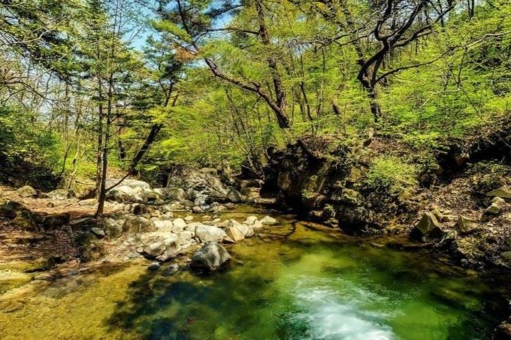 성주 포천계곡 / 사진=한국관광공사@TourAPI