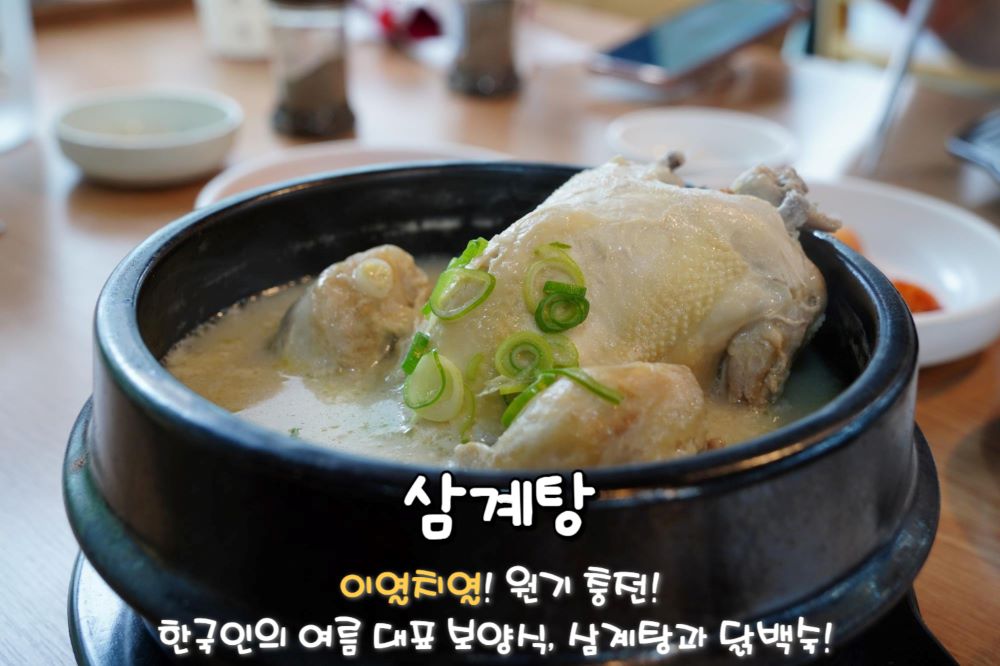 삼계탕 & 닭백숙 / ⓒ인포매틱스뷰