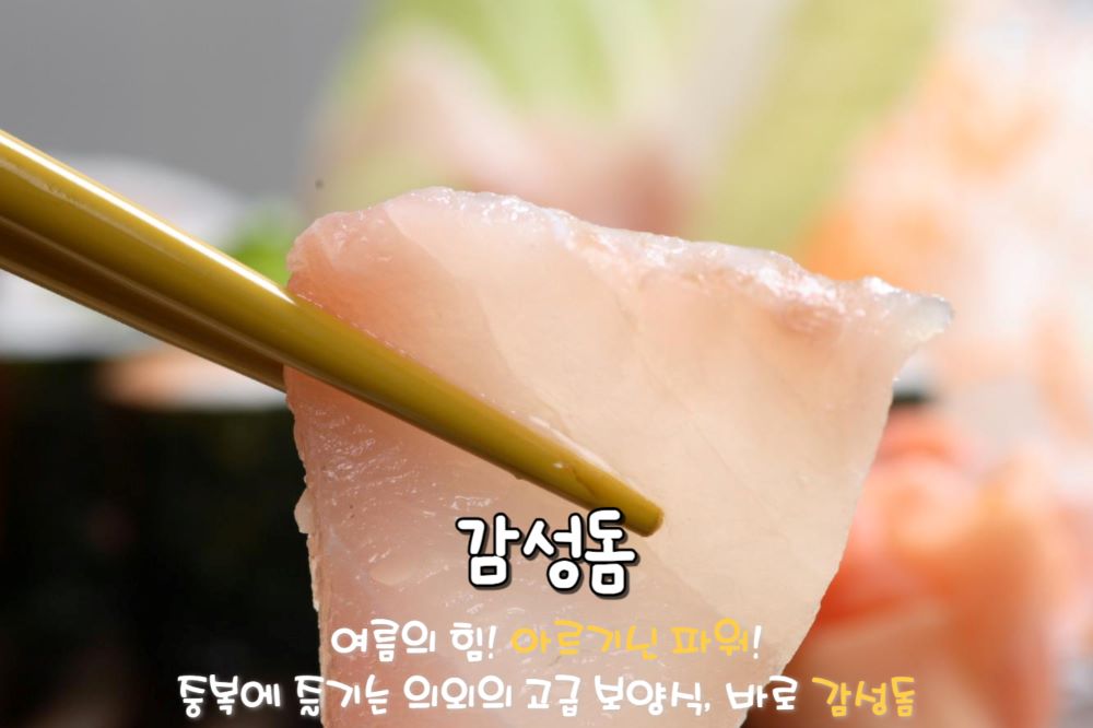 감성돔(이해를 돕기 위한 이미지) / ⓒ인포매틱스뷰