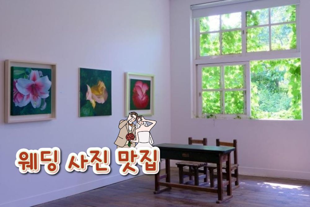 [아마미미술관] 웨딩사진 명당4 / 사진=충남관광(공공누리 1유형 이미지 사용)