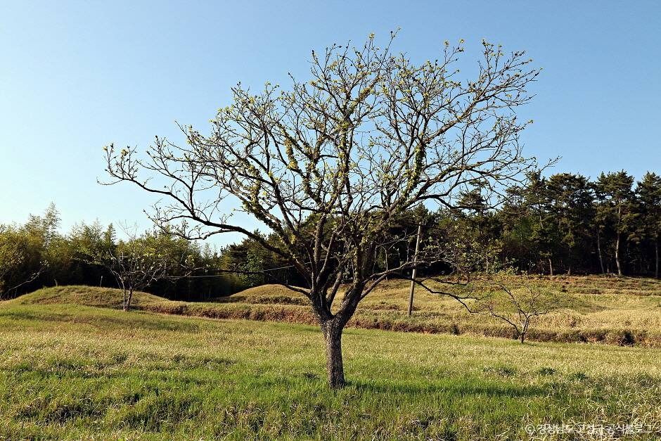 고성 내산리 고분군 / 사진=한국관광공사@TourAPI