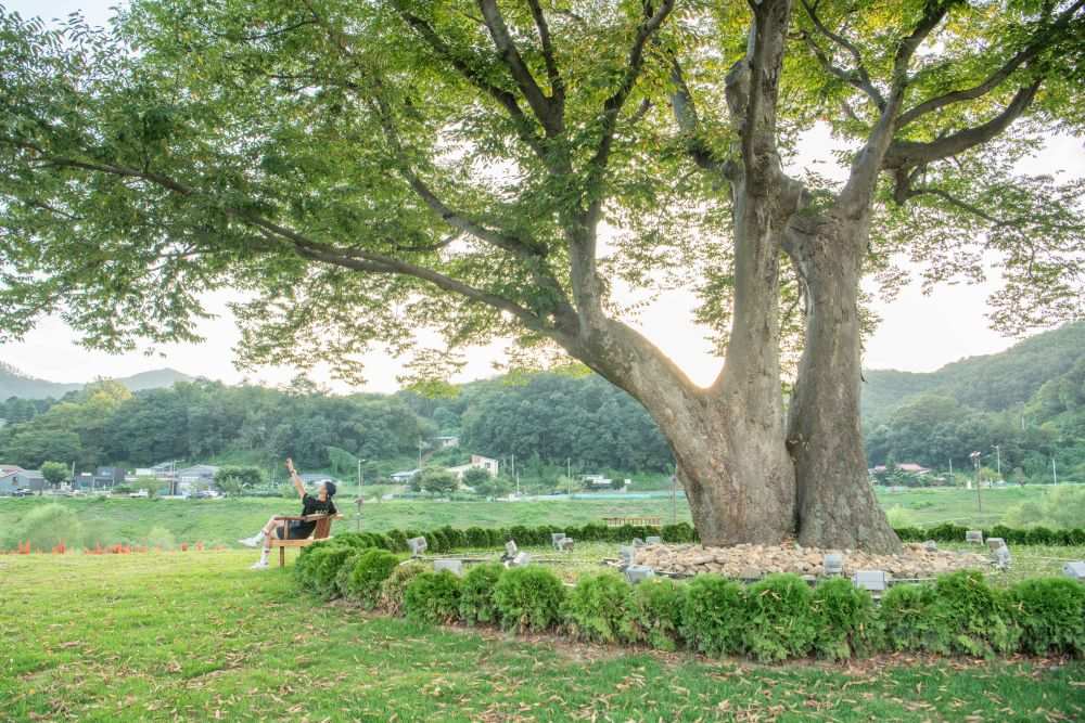 영월 강변저류지 / 사진=한국관광공사 포토코리아@심현우