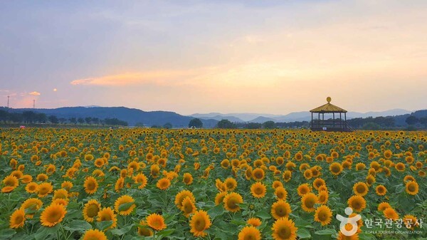 황룡강생태공원 (ⓒ한국관광공사 포토코리아-김현경)