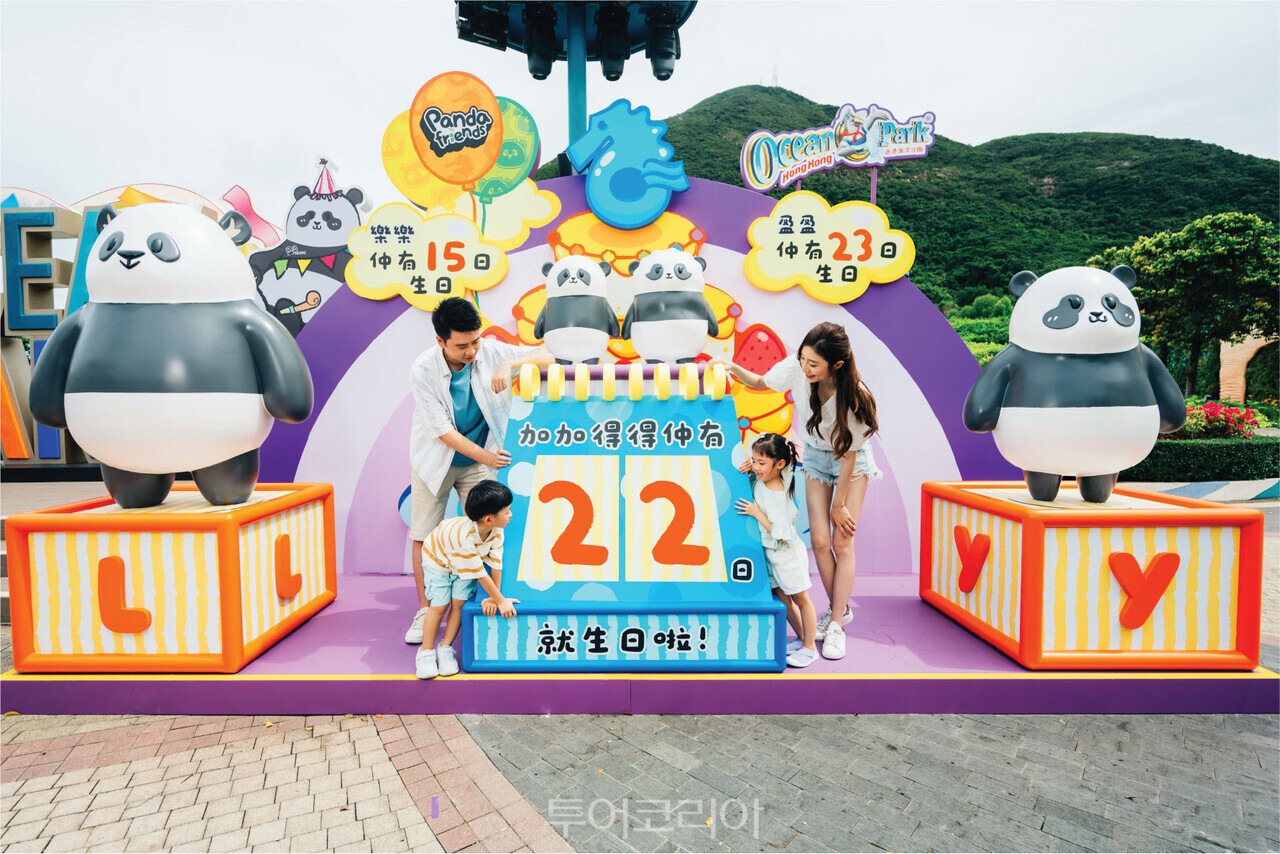오션파크 홍콩 속 판다 콘텐츠 판다로 꾸며진 홍콩 도로 표지판    판다 쌍둥이 첫 생일을 기념해 홍콩 전역에서 축제가 열린다. 라부부 X 쌍둥이 판다 생일 한정판 피규어    오션파크 홍콩 속 판다 콘텐츠 /사진-홍콩관광청