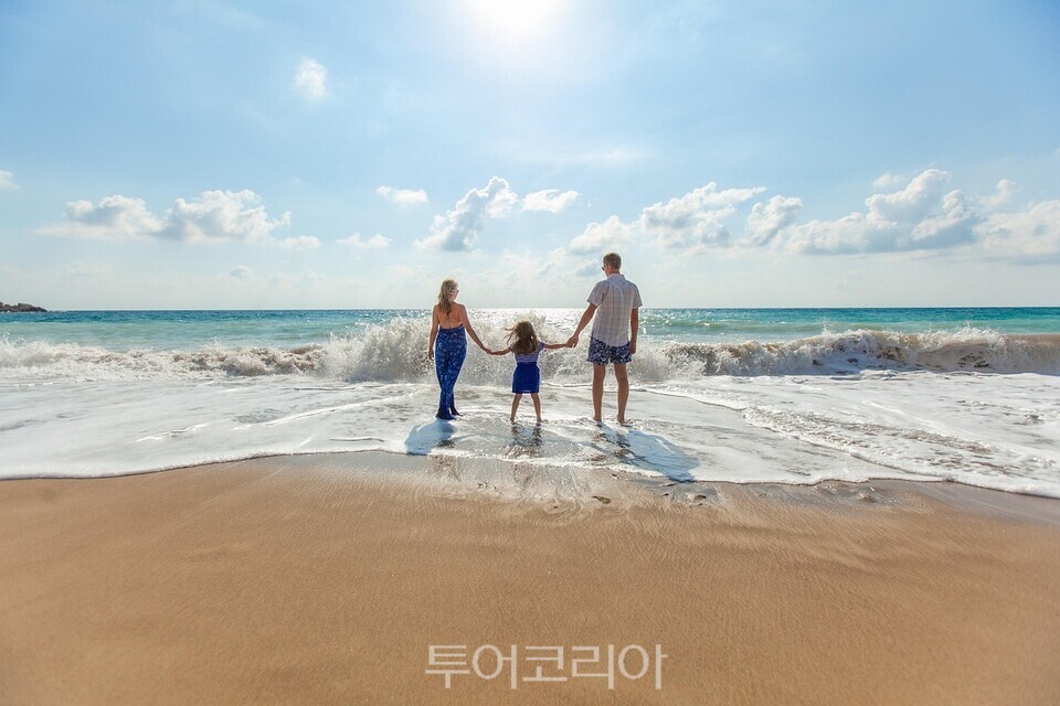 사진-픽사베이