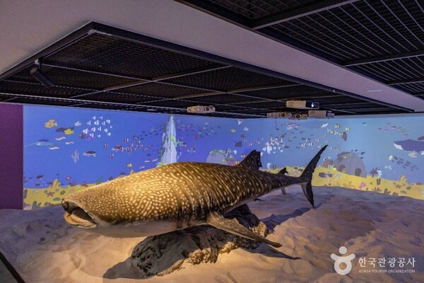 부산해양자연사박물관 (ⓒ한국관광공사 대한민국 구석구석)