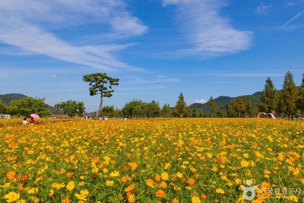 호국의병의 숲 친수공원 (ⓒ한국관광공사 포토코리아-박장용)