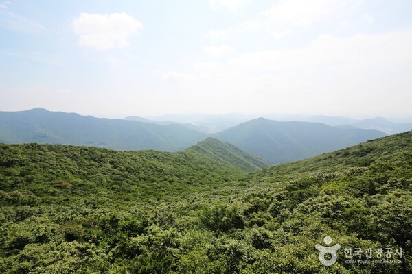 두륜산 (ⓒ한국관광공사 대한민국 구석구석)