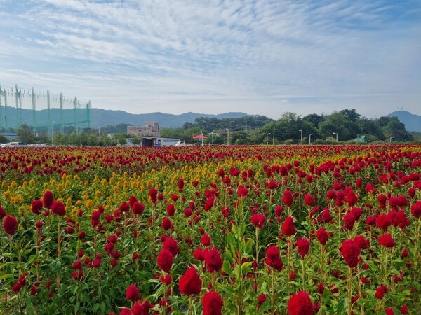 나리공원 (ⓒ한국관광공사 대한민국 구석구석)