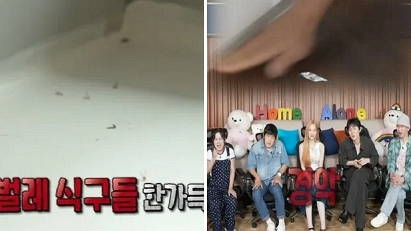 [사진=MBC '나 혼자 산다']