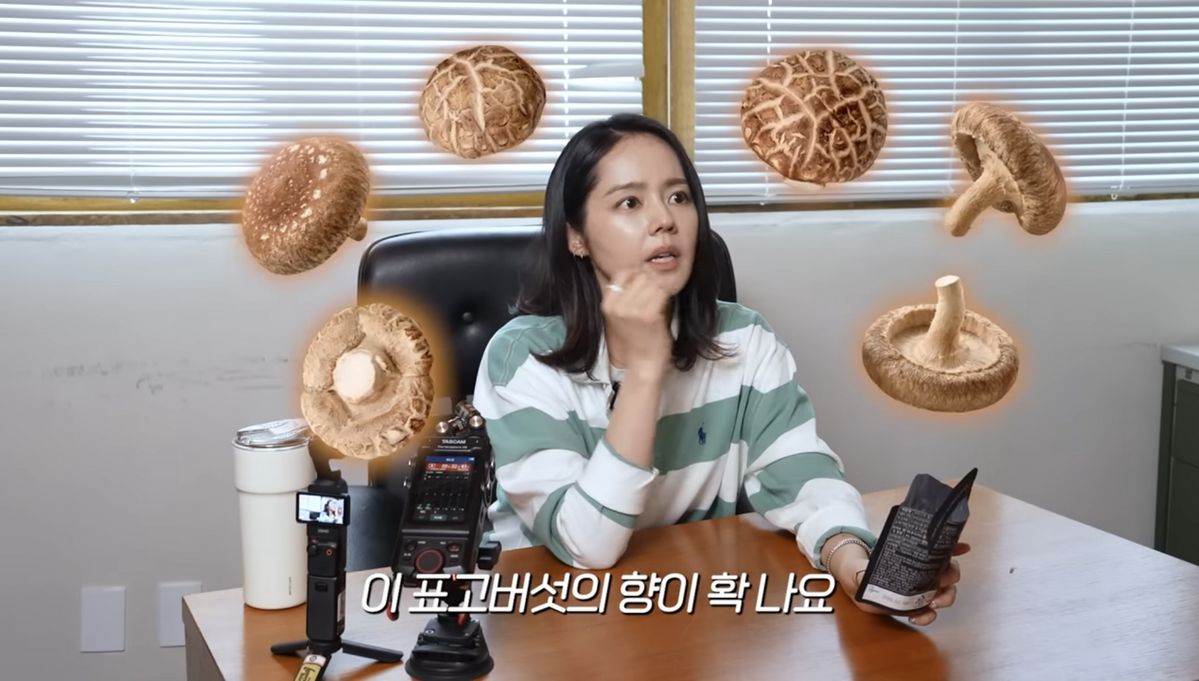 유튜브 〈자유부인 한가인〉