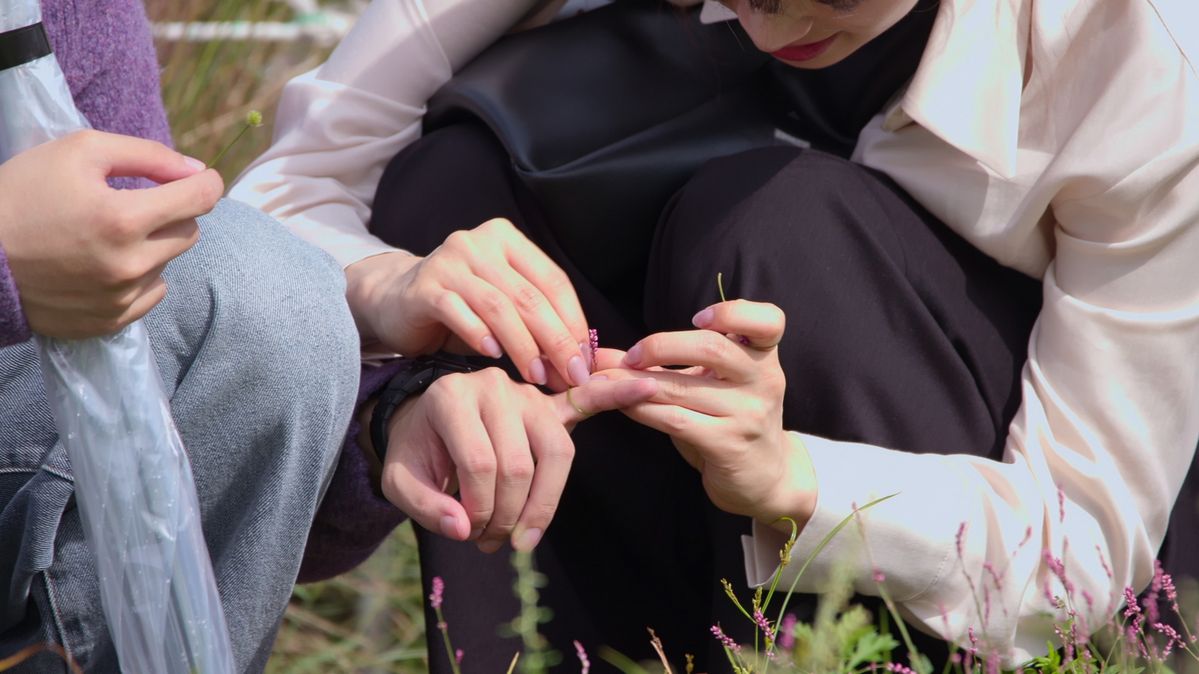 넷플릭스 제공