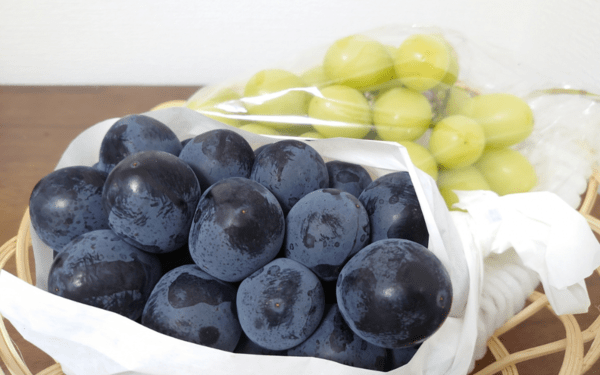 fruits-yamanashi