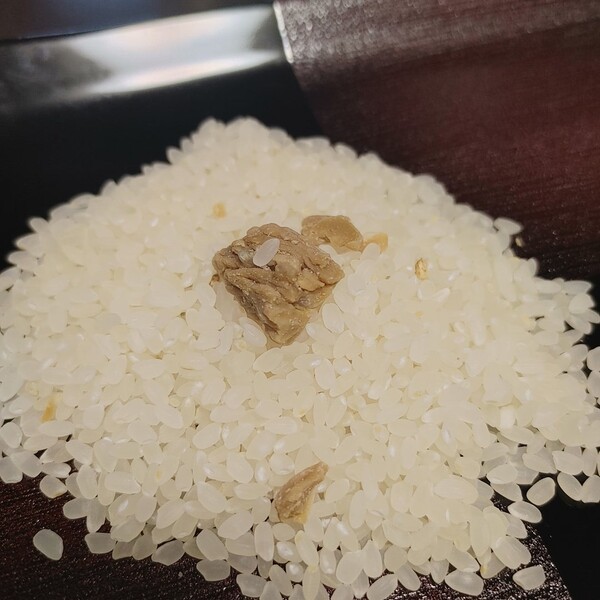 ameblo