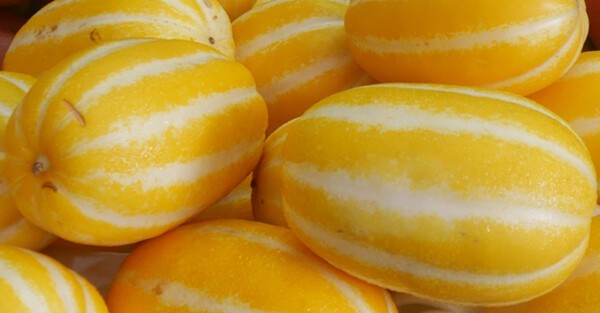 野菜の育て方