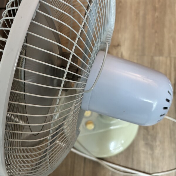 건강의 모든것