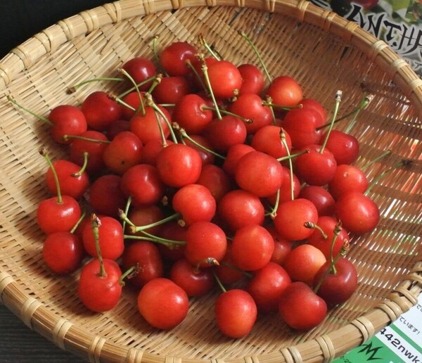 anthreefarm