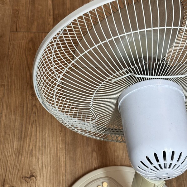 건강의 모든것