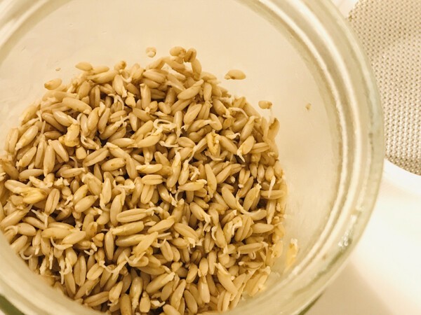 loveseedsvege
