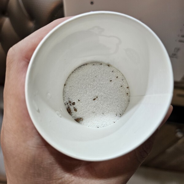 건강의 모든 것