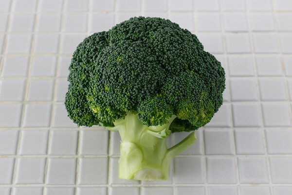 cotogoto