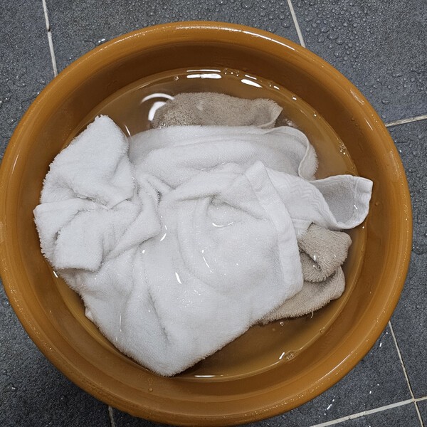 건강의 모든 것