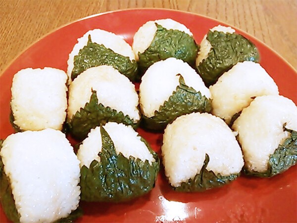 hakkoushoku