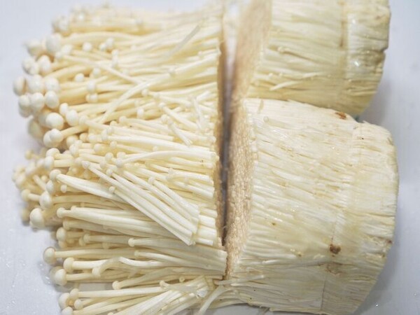 kurashinista