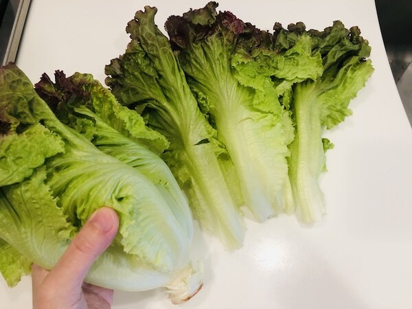 kamaivege