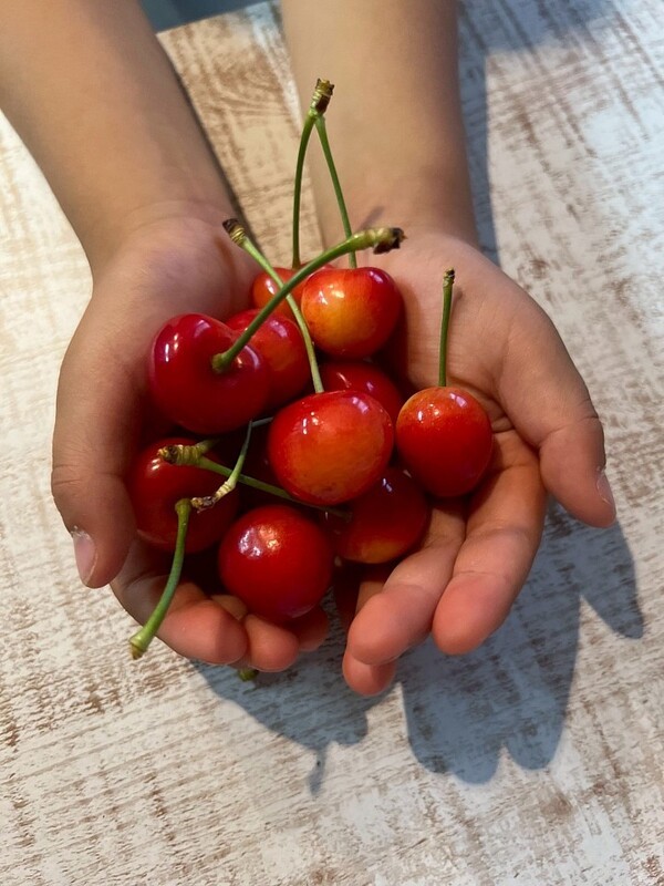 takasagofarm.simdif