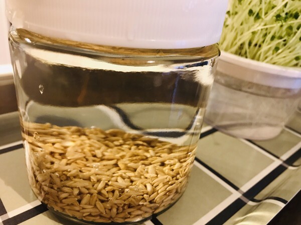 loveseedsvege