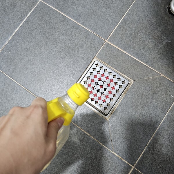 건강의 모든 것