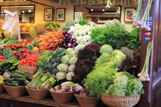 vege8o8